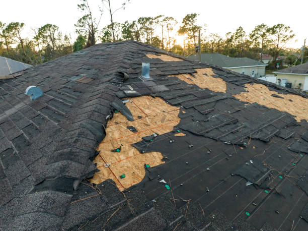 Best Roof Moss and Algae Removal  in Linda, CA